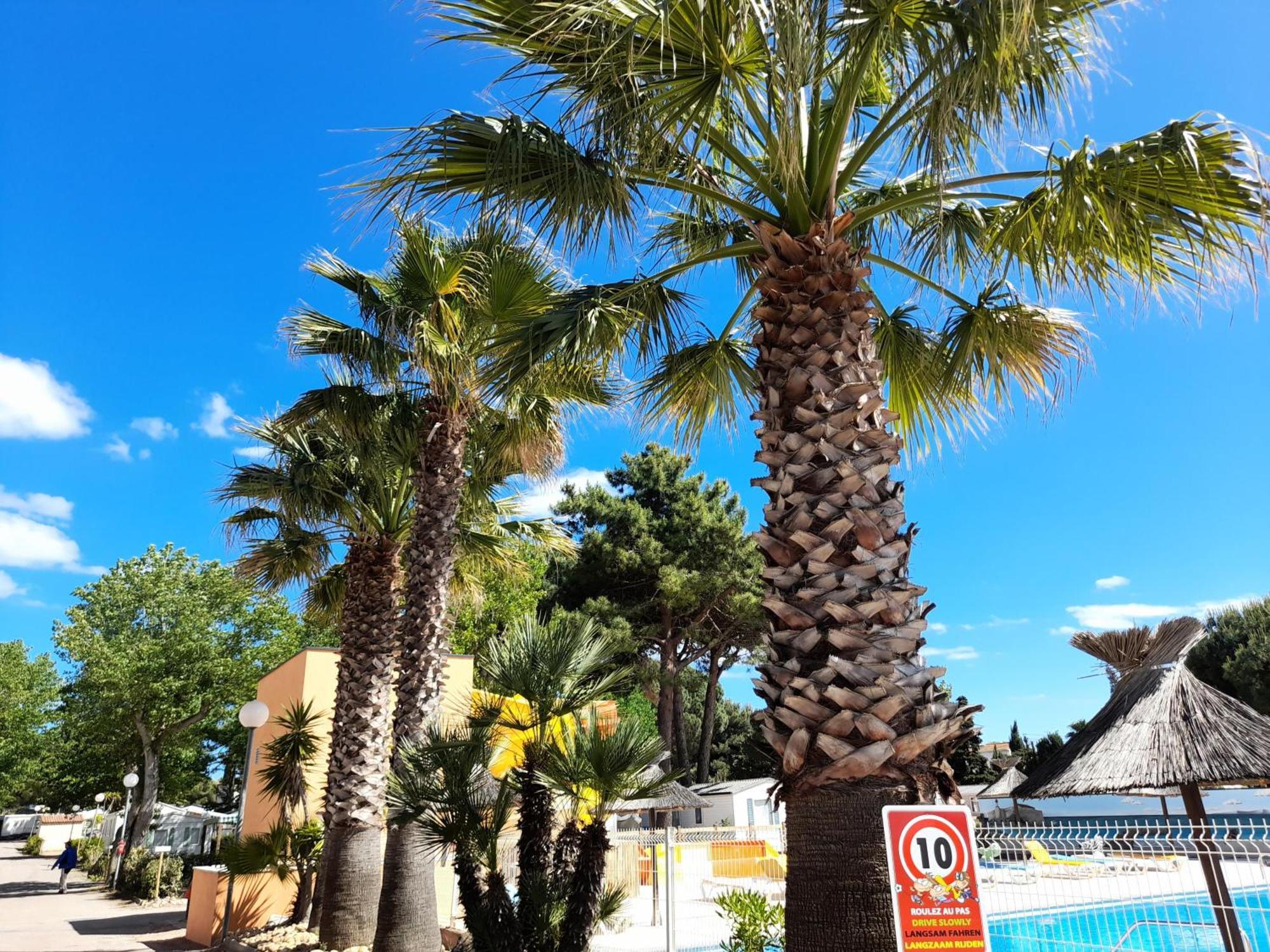 Camping Les Jardins D'Agathe - Maeva Le Grau-d'Agde Luaran gambar